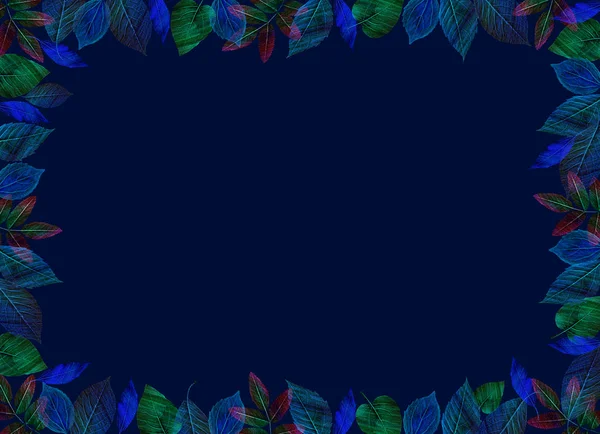 Fallvorlage. hellgrüne und blaue Blätter auf horizontalem, dunklem Hintergrund. — Stockfoto