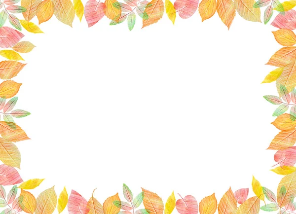Modello di caduta. Luminose foglie autunnali colorate su sfondo bianco orizzontale . — Foto Stock