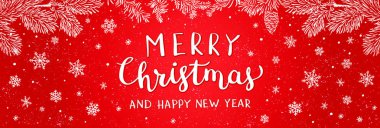 Kış tatili ya da dallı ve kar taneli Noel arkaplanı.