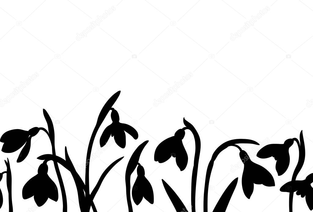 Vector seamless border with silhoette of snowdrops on white background.