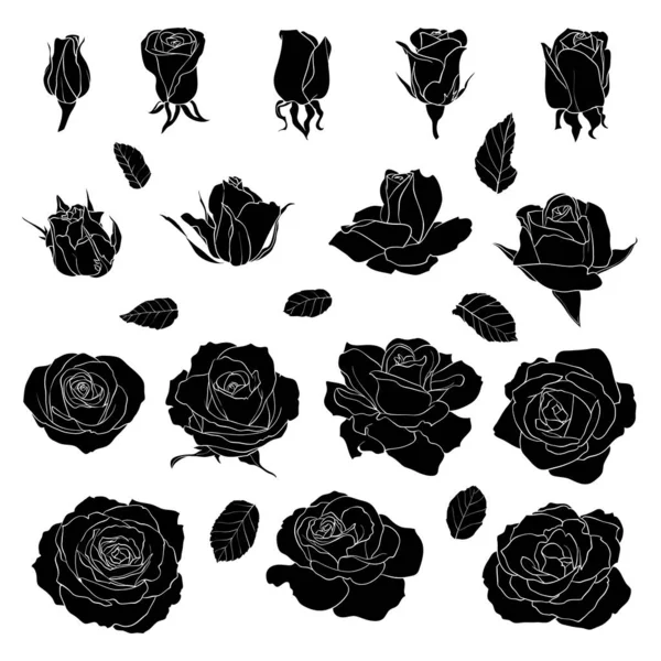 Vector Set Van Template Rozen Zwarte Silhouet Bloemen Geïsoleerd Witte — Stockvector