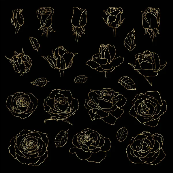 病媒的玫瑰集 黑色背景上的金黄色手绘花朵 可用于婚宴请柬和贺卡 — 图库矢量图片