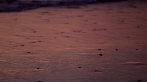 Ocean zachód słońca i piasku na plaży — Wideo stockowe