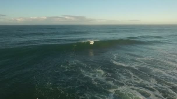 Surfer op grote golf in San Diego — Stockvideo