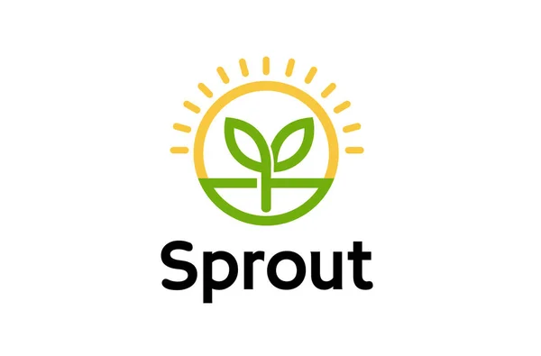 Sprout Leaf Sun Logo Diseño Símbolos Ilustración — Archivo Imágenes Vectoriales