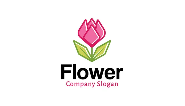 Két Virág Logo Design Illusztráció — Stock Vector