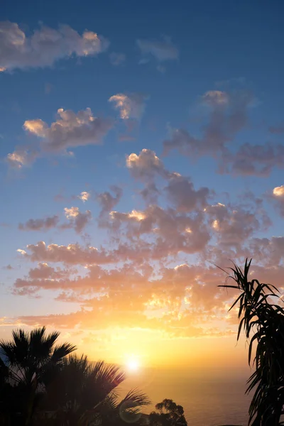 Céu Por Sol Sobre Água Com Silhuetas Palmeira — Fotografia de Stock