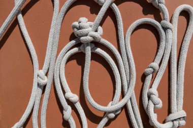 deniz mili ile beyaz ip 