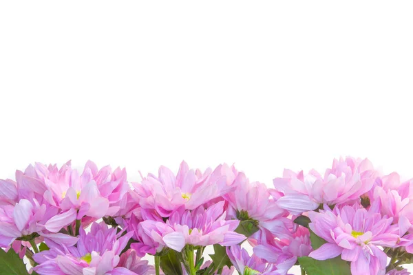ピンクの花が白い背景のピンクの花装飾に分離 — ストック写真
