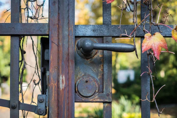 Ancienne Poignée Porte Sur Porte Fer Porte Entrée Cimetière — Photo