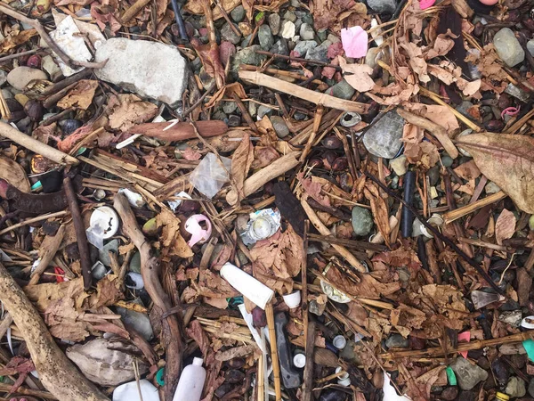 trash on beach, ocean pollution , garbage on coast -