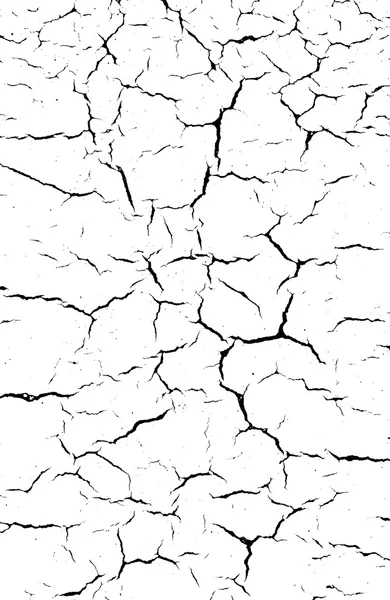 Blanco y negro Fondo de suelo agrietado — Vector de stock