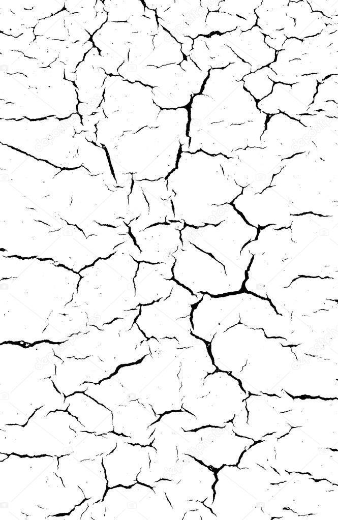 Black and white Cracked soil background