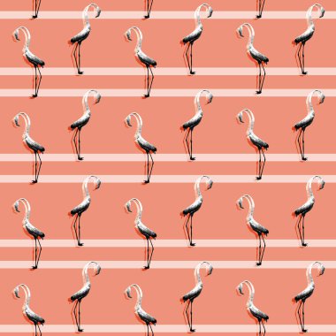 Flamingo kuşları desen