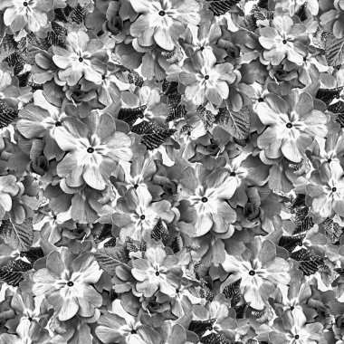 soyut çiçek arkaplanı