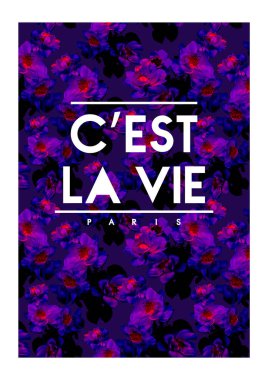 C'est la vie inscription, quote