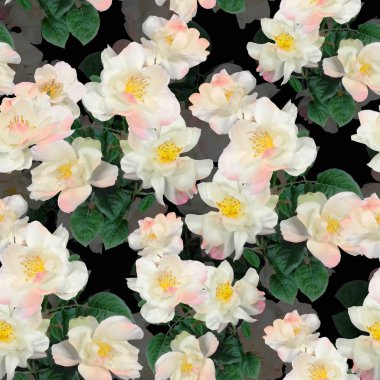 Bahar elma çiçek deseni