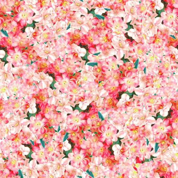 Абстрактный цветочный фон — стоковое фото