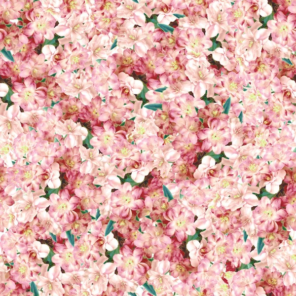 Abstract floral background — Stock Photo, Image