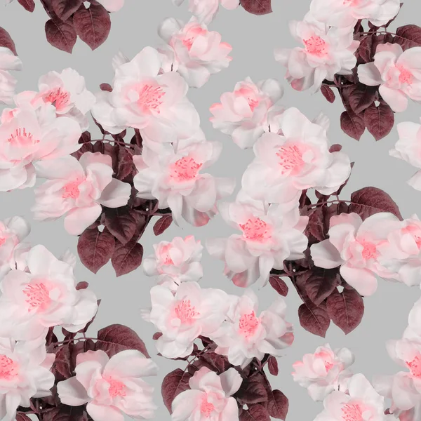 Spring cherry flowers pattern — Stock Photo, Image