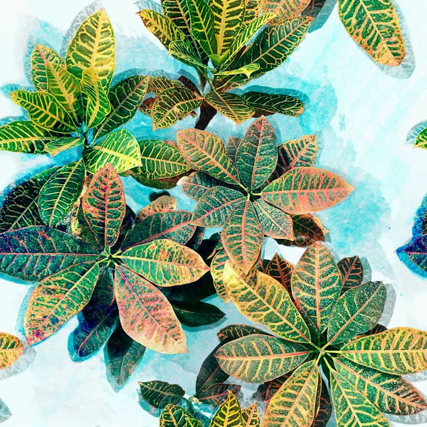 Тропічних листя фону — стокове фото