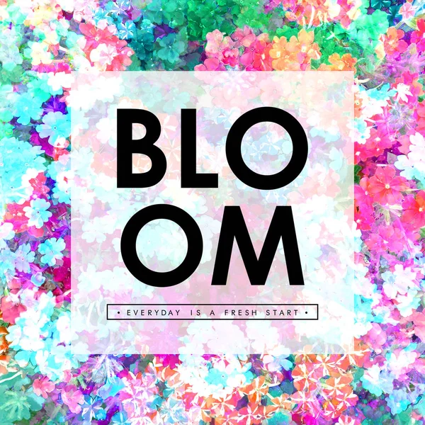 Bloom inscription, quote — Stock Photo, Image