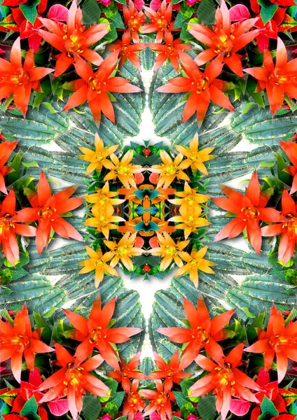 Heimojen abstrakti kukka koriste — kuvapankkivalokuva