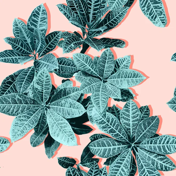 Tropical leaves background — Stock Photo, Image