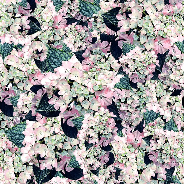 Абстрактні квіткові фон — стокове фото