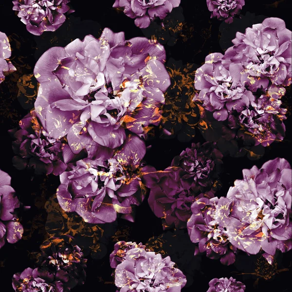 Rose padrão sem costura — Fotografia de Stock