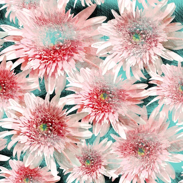 Gerbera Blumenmuster — Stockfoto