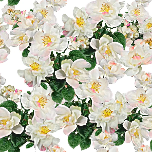 Rose seamless pattern — Stock Photo, Image