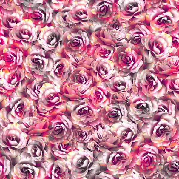 Rose pattern, seamless — Stock Photo, Image