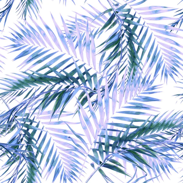 Palm leaves pattern — Stock Photo, Image