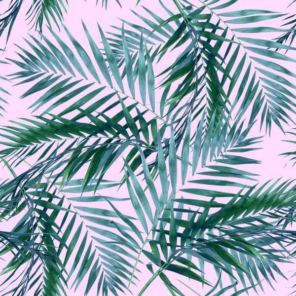 Palm leaves pattern — Stock Photo, Image