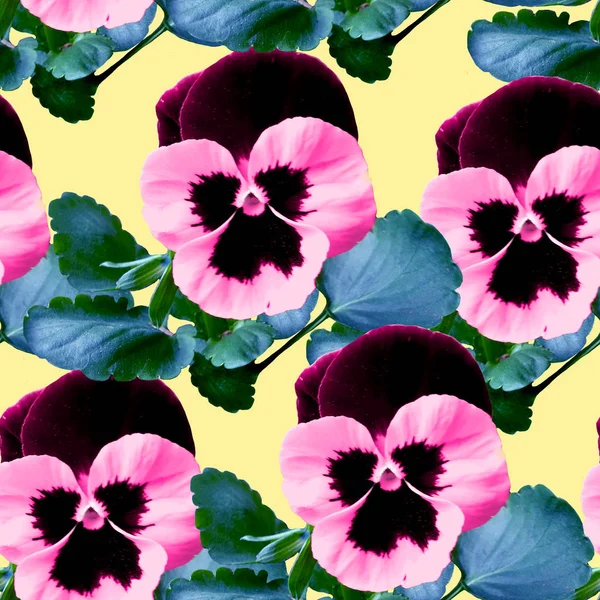 Blumenmuster in mehrfarbig — Stockfoto