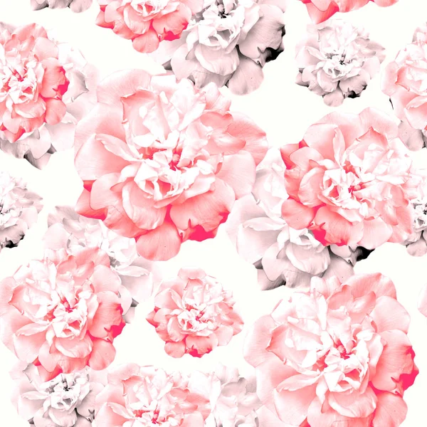 Rose pattern, seamless pattern