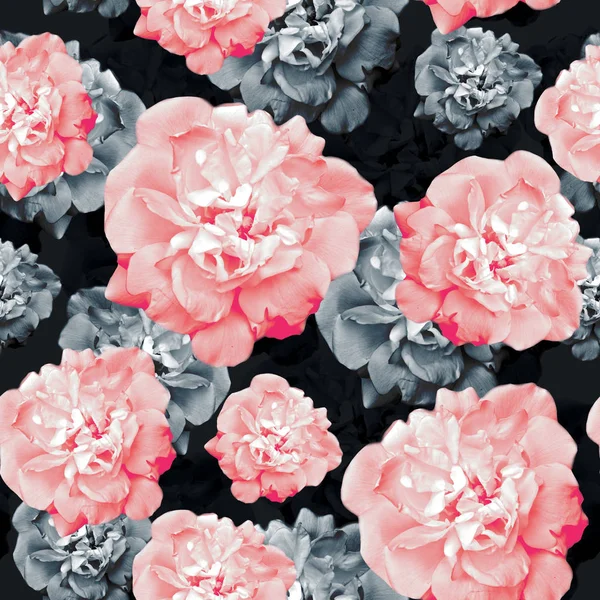 Rose pattern, seamless pattern — Stock Photo, Image