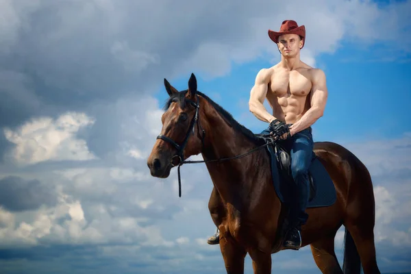 Maço erkek yakışıklı kovboy ve arka planda gökyüzünün ve su at.
