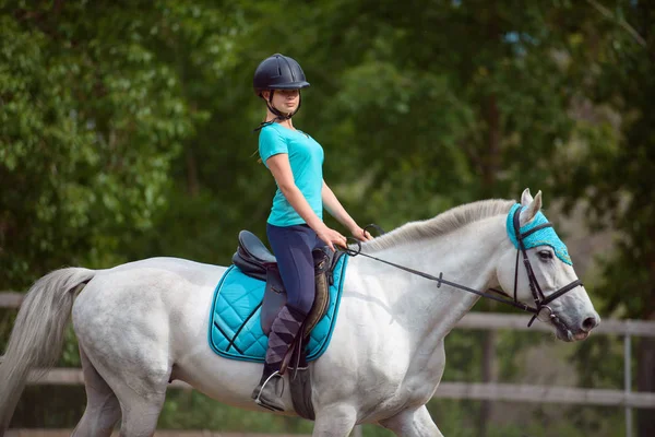 Girl rider trains the horse in the riding course in summer day