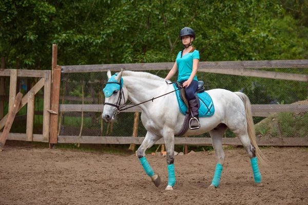 Menina cavaleiro treina o cavalo no curso de equitação no dia de verão — Fotografia de Stock