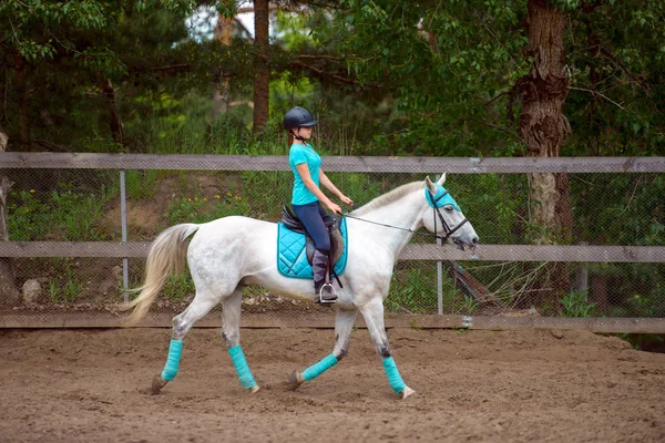 Reiterin trainiert das Pferd im Reitkurs am Sommertag — Stockfoto