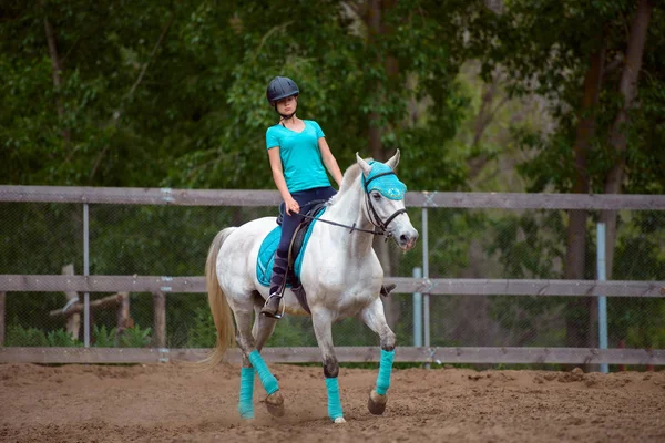 Kız binici at binicilik sahası içinde yaz gün eğitiyor.