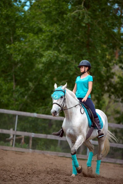 Chica jinete entrena al caballo en el curso de equitación en el día de verano —  Fotos de Stock