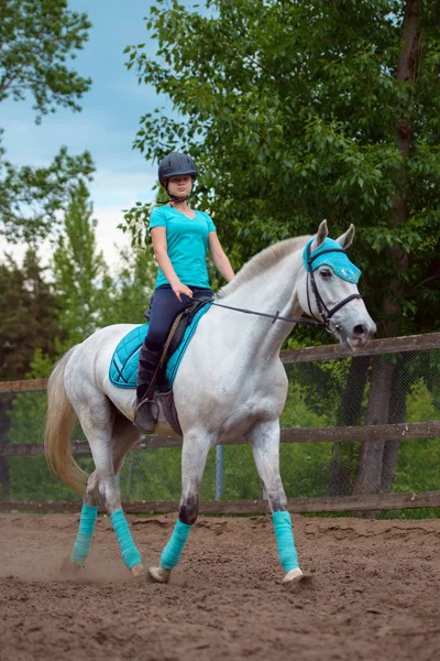 Chica jinete entrena al caballo en el curso de equitación en el día de verano —  Fotos de Stock