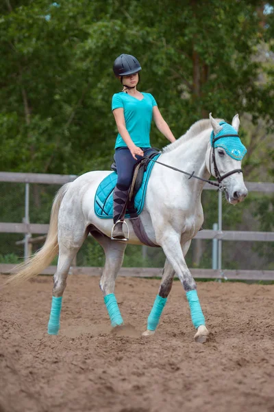 Kız binici at binicilik sahası içinde yaz gün eğitiyor.