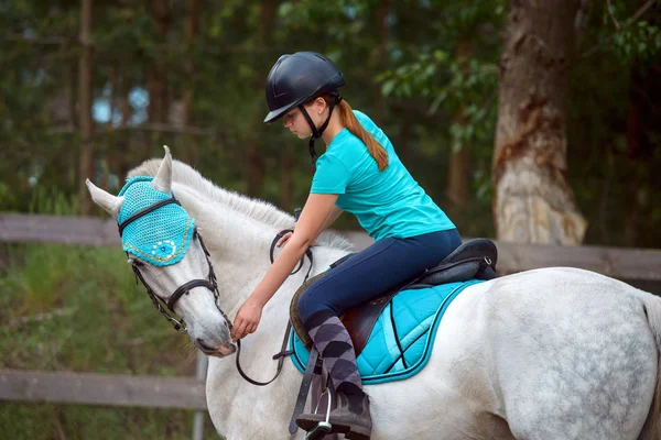 Chica jinete entrena al caballo en el curso de equitación en el día de verano —  Fotos de Stock