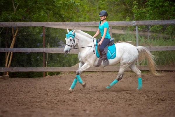 Αναβάτης κορίτσι εκπαιδεύει το άλογο στο μάθημα ιππασίας στη θερινή ημέρα — Φωτογραφία Αρχείου