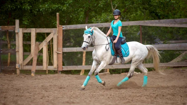 Chica jinete entrena al caballo en el curso de equitación en el día de verano — Foto de Stock
