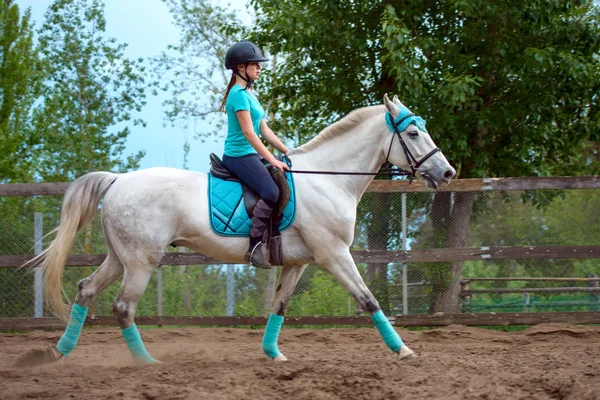Dívka rider vlaky koně v jezdecké kurzu v letním dni — Stock fotografie